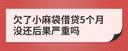 欠了小麻袋借贷5个月没还后果严重吗