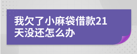 我欠了小麻袋借款21天没还怎么办