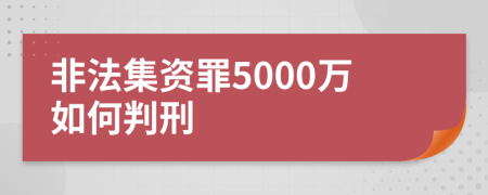 非法集资罪5000万如何判刑