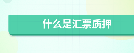 什么是汇票质押