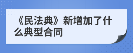 《民法典》新增加了什么典型合同