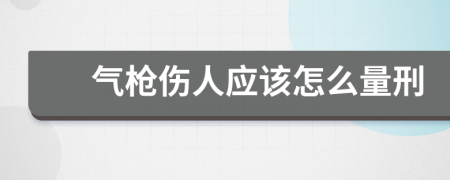 气枪伤人应该怎么量刑