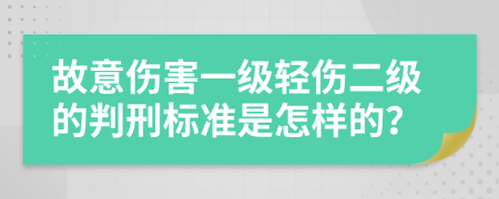 故意伤害一级轻伤二级的判刑标准是怎样的？