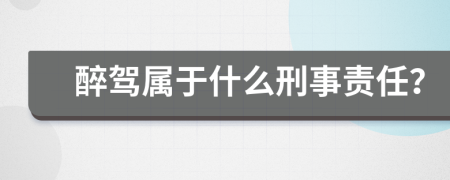 醉驾属于什么刑事责任？