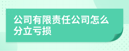 公司有限责任公司怎么分立亏损