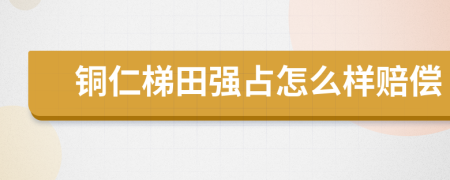 铜仁梯田强占怎么样赔偿