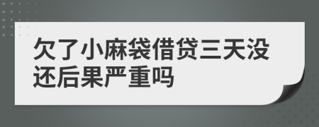 欠了小麻袋借贷三天没还后果严重吗