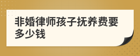 非婚律师孩子抚养费要多少钱