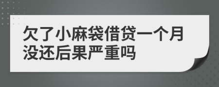 欠了小麻袋借贷一个月没还后果严重吗