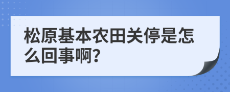 松原基本农田关停是怎么回事啊？