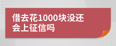 借去花1000块没还会上征信吗