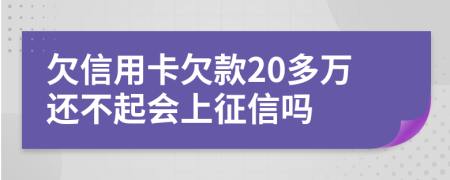 欠信用卡欠款20多万还不起会上征信吗