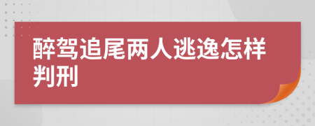 醉驾追尾两人逃逸怎样判刑