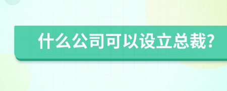 什么公司可以设立总裁?