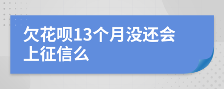 欠花呗13个月没还会上征信么