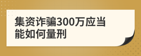 集资诈骗300万应当能如何量刑