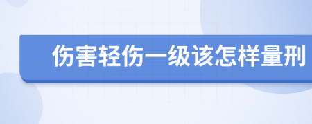 伤害轻伤一级该怎样量刑