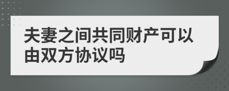 夫妻之间共同财产可以由双方协议吗