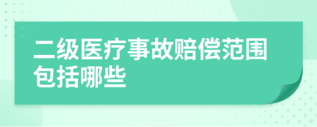二级医疗事故赔偿范围包括哪些