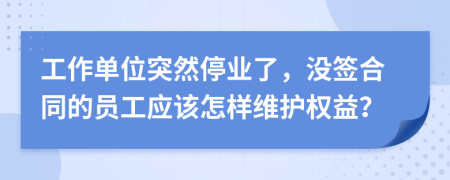 工作单位突然停业了，没签合同的员工应该怎样维护权益？