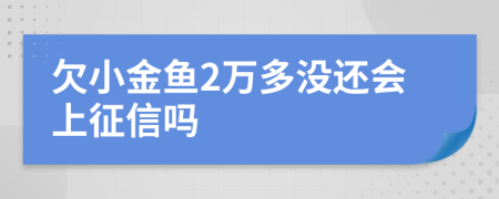 欠小金鱼2万多没还会上征信吗