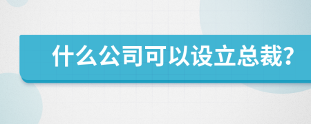 什么公司可以设立总裁？