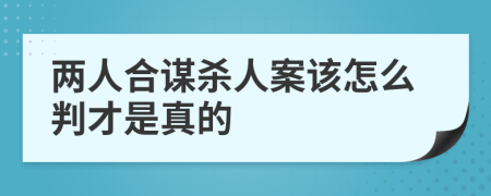 两人合谋杀人案该怎么判才是真的