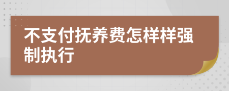 不支付抚养费怎样样强制执行