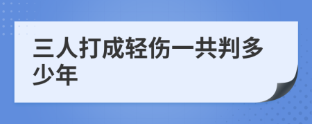 三人打成轻伤一共判多少年