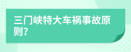 三门峡特大车祸事故原则？