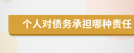 个人对债务承担哪种责任