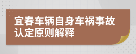 宜春车辆自身车祸事故认定原则解释