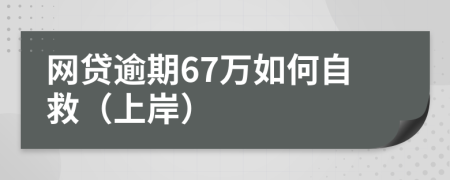 网贷逾期67万如何自救（上岸）
