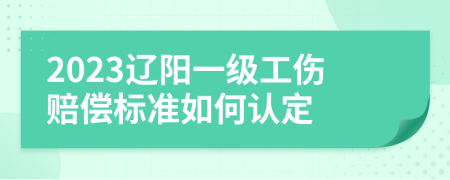 2023辽阳一级工伤赔偿标准如何认定