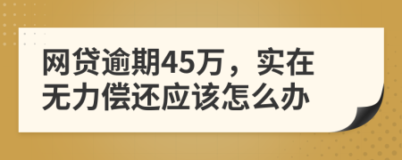 网贷逾期45万，实在无力偿还应该怎么办