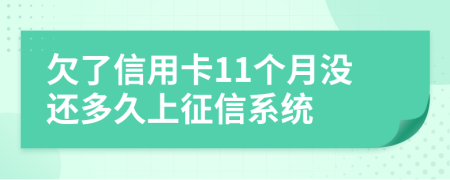 欠了信用卡11个月没还多久上征信系统