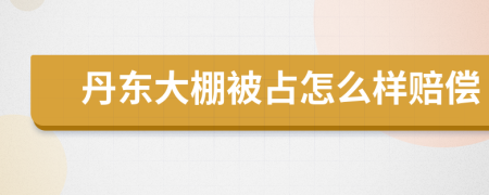 丹东大棚被占怎么样赔偿