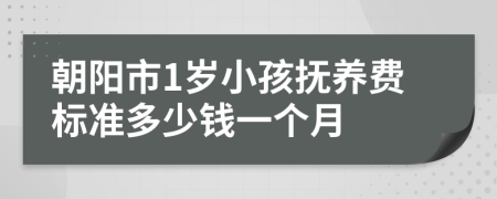 朝阳市1岁小孩抚养费标准多少钱一个月