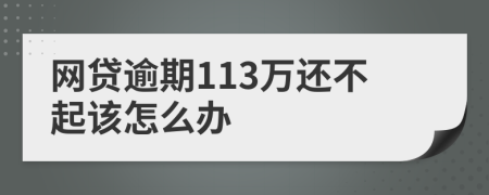 网贷逾期113万还不起该怎么办