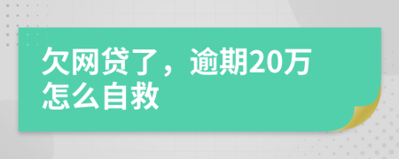 欠网贷了，逾期20万怎么自救