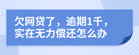 欠网贷了，逾期1千，实在无力偿还怎么办