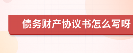 债务财产协议书怎么写呀