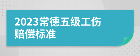 2023常德五级工伤赔偿标准