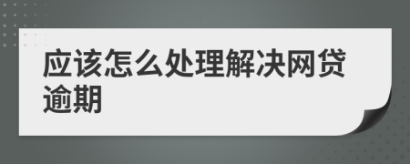 应该怎么处理解决网贷逾期