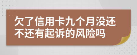 欠了信用卡九个月没还不还有起诉的风险吗