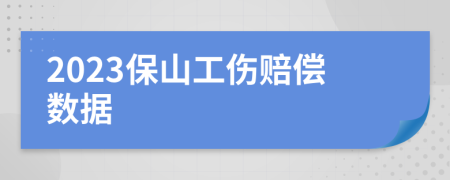 2023保山工伤赔偿数据