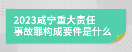 2023咸宁重大责任事故罪构成要件是什么