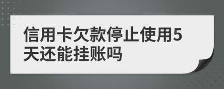 信用卡欠款停止使用5天还能挂账吗