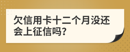 欠信用卡十二个月没还会上征信吗？