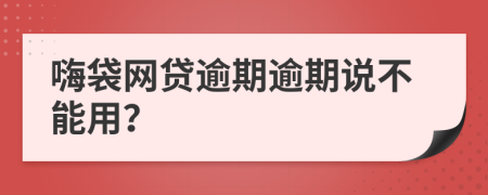 嗨袋网贷逾期逾期说不能用？